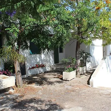 Villeriunite - Numero 6