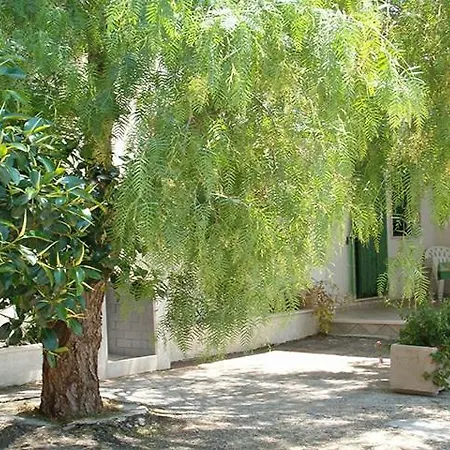 Villeriunite - Numero 6