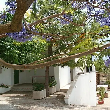 Villeriunite - Numero 6 *