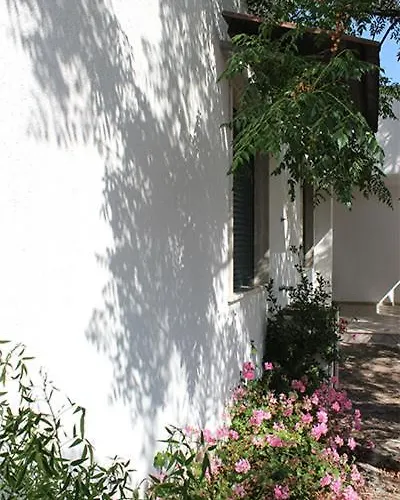 Villeriunite - Numero 6 * 갈리폴리