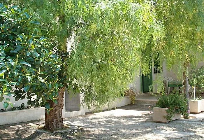 Villeriunite - Numero 6