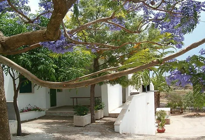 Villeriunite - Numero 6 *